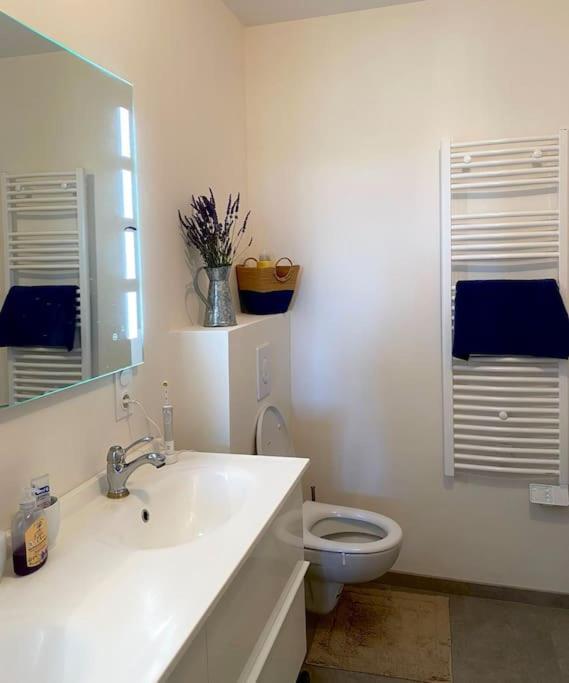 Peaceful Retreat In Drome Provencale Castel Apartment Montboucher-sur-Jabron ภายนอก รูปภาพ